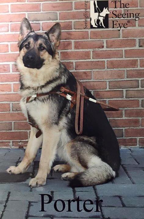 14907122_10154014743588597_7701701387790678854_n