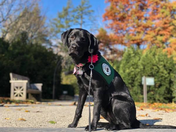 47456740_2154275221270368_1031892057804767232_n