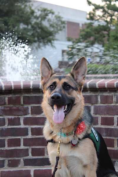 71514391_1907782629324890_2362202338870951936_n