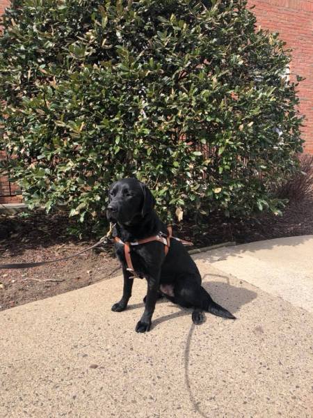 30653103_10213066160423609_2856235186931105792_n