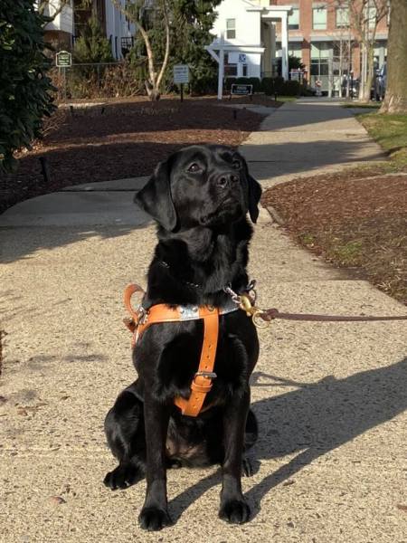 80107687_10218493549984483_6062879717407588352_n