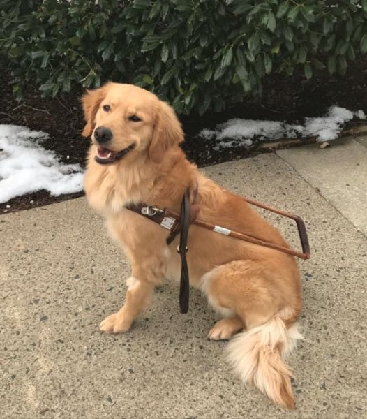 83323544_2811152508943670_8005213488009969664_n