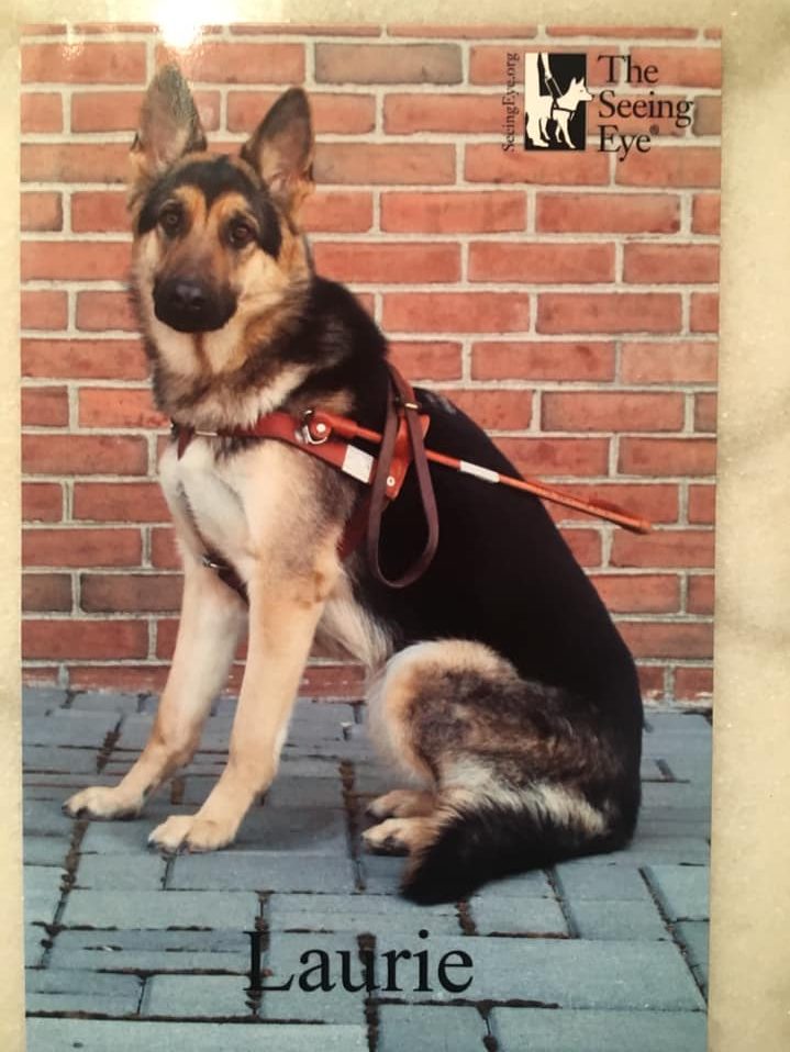 56721526_2000185720103928_6434279893273411584_n